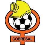 Cobresal logo